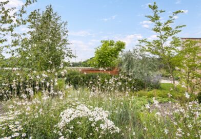 Plantencentrum Houtmeyers is een familiebedrijf waar de liefde voor planten al generaties lang wordt doorgegeven.
