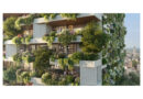 Natuur op grote hoogte: over verticale bossen, experts en teamwerk