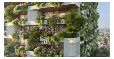 Natuur op grote hoogte: over verticale bossen, experts en teamwerk