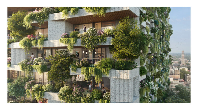 Natuur op grote hoogte: over verticale bossen, experts en teamwerk