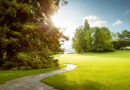 De groene stads als wensdroom?