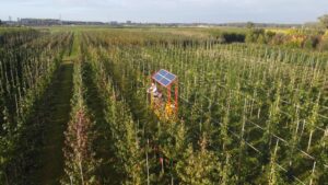 Boomkwekerij Udenhout: nuchter vakmanschap met toekomstvisie