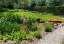Waterbeheer als ontwerpstandaard: wadi’s en infiltratie als nieuwe norm in de particuliere tuin
