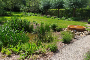 Waterbeheer als ontwerpstandaard: wadi’s en infiltratie als nieuwe norm in de particuliere tuin