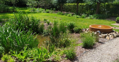 Waterbeheer als ontwerpstandaard: wadi’s en infiltratie als nieuwe norm in de particuliere tuin