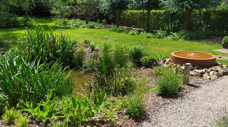 Waterbeheer als ontwerpstandaard: wadi’s en infiltratie als nieuwe norm in de particuliere tuin