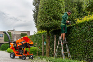 Snoeien en scheren van hagen is een specialiteit die in de praktijk vaak voorbehouden blijft aan tuinaannemers. Het is één van de belangrijkste activiteiten binnen het beroep en vormt, samen met maaien, het grootste deel van het tuinonderhoud. Daarbij ontstaat steevast een groot volume snoeiresten. Voor tuinaannemers vormt dit snoeiafval een uitdaging waarvoor zij geacht worden een passende oplossing te vinden. Vaak worden de snoeiresten afgevoerd: vroeger belandden ze op de brandstapel, later op het containerpark.