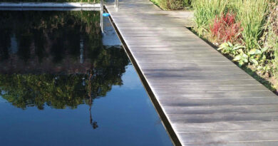 Het is herfst, en de waterplanten in de vijver gaan nu met rasse schreden achteruit. De groei is eruit, het blad verkleurt, verdort en sterft af. Ondertussen verliezen ook de bomen en struiken in de tuin steeds meer bladeren.