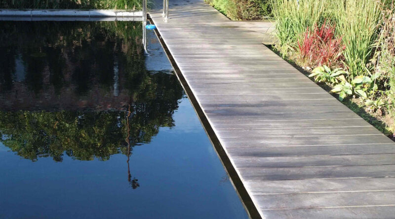Het is herfst, en de waterplanten in de vijver gaan nu met rasse schreden achteruit. De groei is eruit, het blad verkleurt, verdort en sterft af. Ondertussen verliezen ook de bomen en struiken in de tuin steeds meer bladeren.