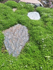 Stapstenen, flagstones en stapelmuren met natuurlijke uitstraling