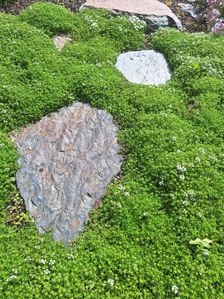 Stapstenen, flagstones en stapelmuren met natuurlijke uitstraling