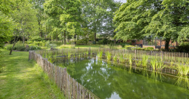 Het werk van een tuinaannemer heeft altijd invloed op de natuur. Het team van Lima Verde neemt die verantwoordelijkheid graag ter harte en koos met de uitwerking van dit project voor een klimaatadaptieve aanpak.