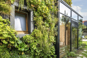 Verticaal groen als bouwschil: Muurtuin combineert biodiversiteit, verkoeling en waterzuivering in modulaire groensystemen