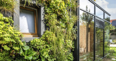 Verticaal groen als bouwschil: Muurtuin combineert biodiversiteit, verkoeling en waterzuivering in modulaire groensystemen