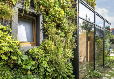 Verticaal groen als bouwschil: Muurtuin combineert biodiversiteit, verkoeling en waterzuivering in modulaire groensystemen