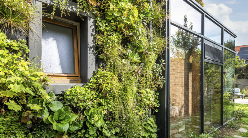 Verticaal groen als bouwschil: Muurtuin combineert biodiversiteit, verkoeling en waterzuivering in modulaire groensystemen