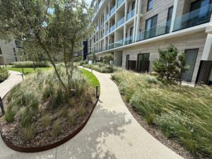 Green Building Company: bijna 20 jaar bouwen aan levende architectuur