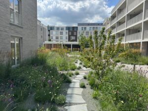 Green Building Company: bijna 20 jaar bouwen aan levende architectuur