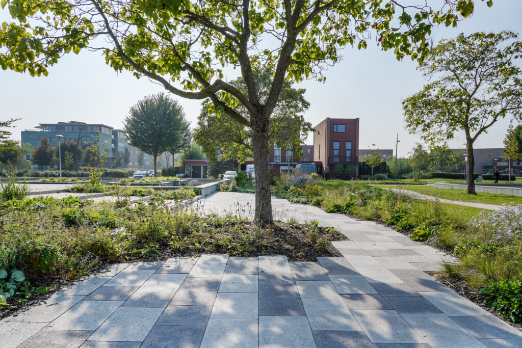 Schellevis: Hoe Centrumplein de Bogen (NL) een toekomstbestendig plein werd