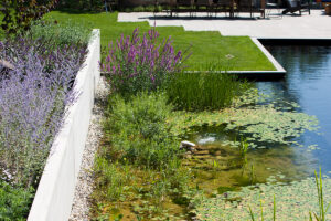 Van plan naar praktijk: hoe eigenaarschap en slim waterbeheer leiden tot toekomstbestendige tuinen