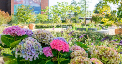 Houthavens Botanique: Amsterdams park verandert steeds van kleur