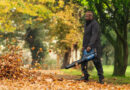 Bosch GBL 18V-800 Professional: maximale blaaskracht voor de professional